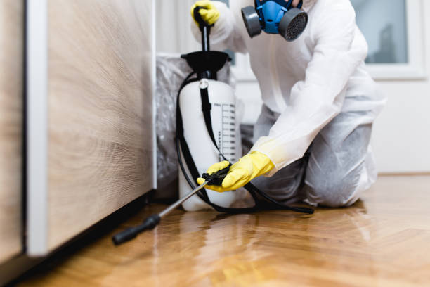 Professional Pest Control in Cajahs Mountain, NC
