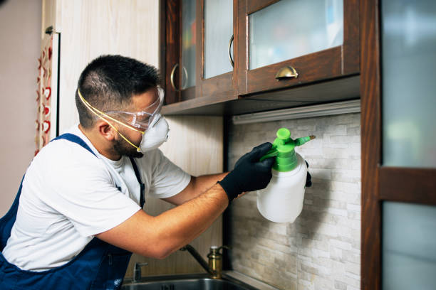 Best Pest Control Near Me in Cajahs Mountain, NC
